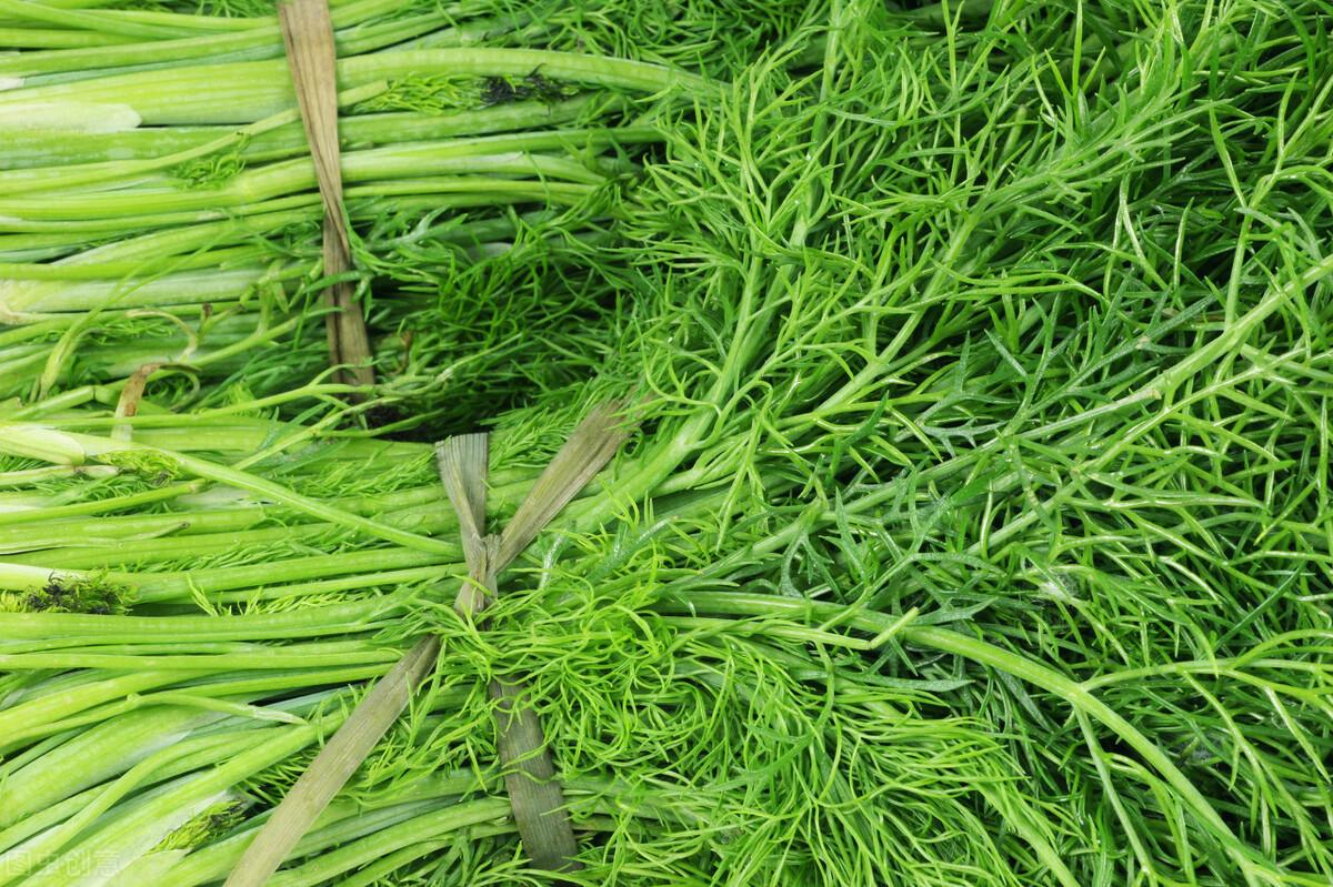 茴香價(jià)格動(dòng)態(tài)，香氣變化與你的關(guān)聯(lián)