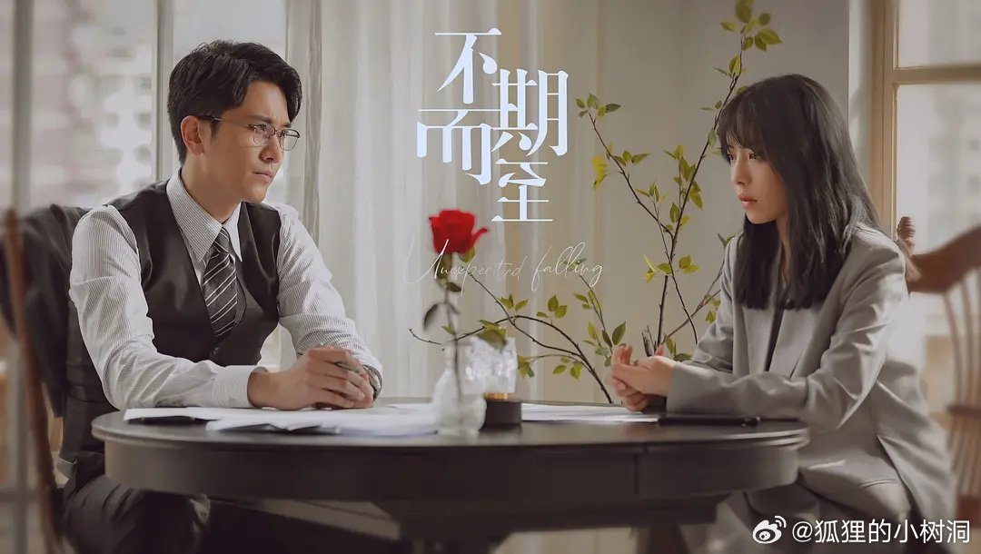 不期而至電視劇，從入門到進(jìn)階的觀看指南