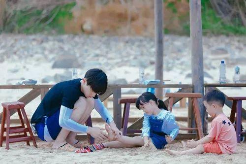 最新TV版資訊深度剖析，電視劇熱潮的影響力與影響