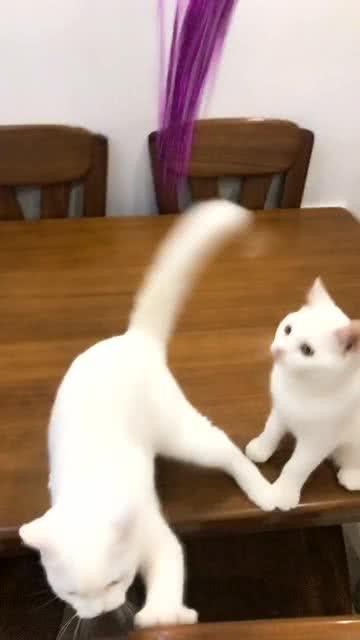 運(yùn)動(dòng)場(chǎng)館燈具 第193頁(yè)