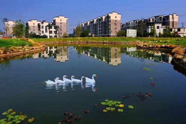 萍鄉(xiāng)安源湖，最新動態(tài)揭示湖畔變革與自我超越之旅