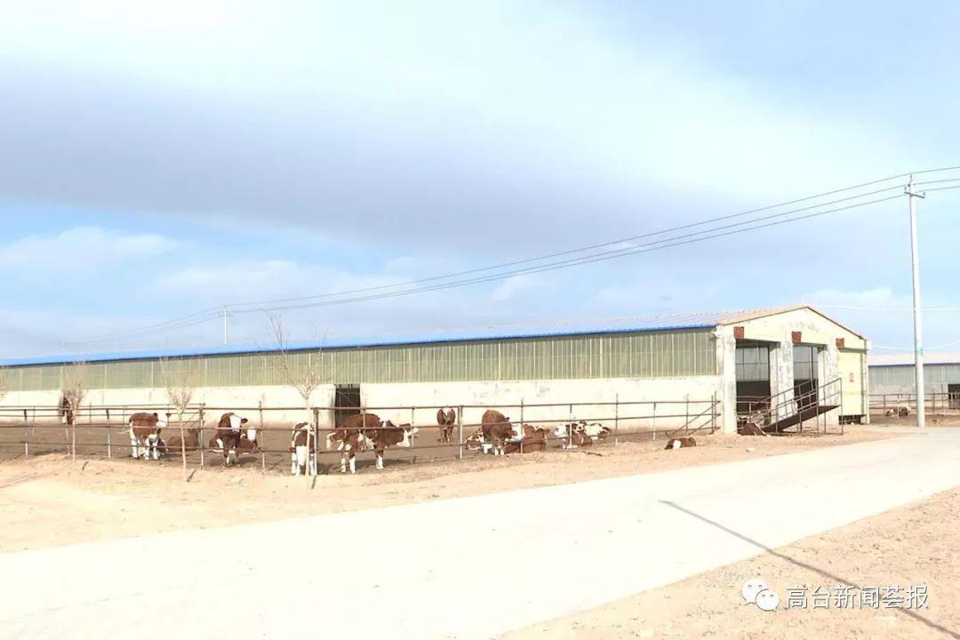 最新養(yǎng)殖場建設政策解讀，探索之旅啟程