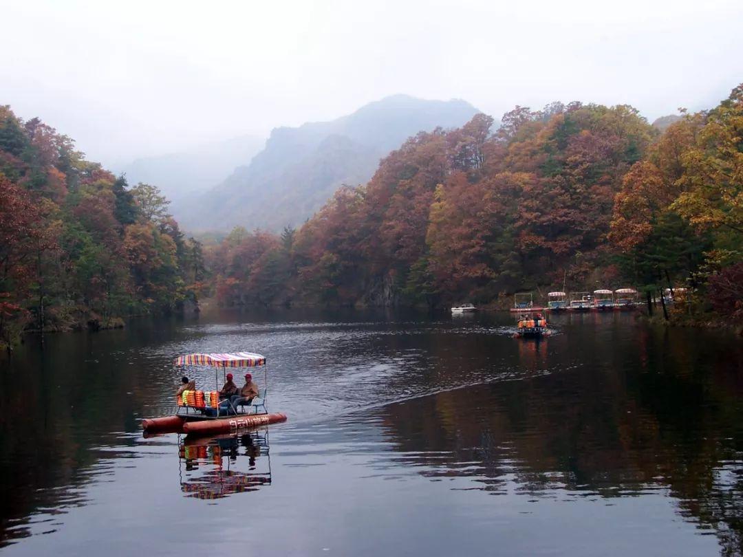 心動瞬間，愛情與生活的美妙交匯