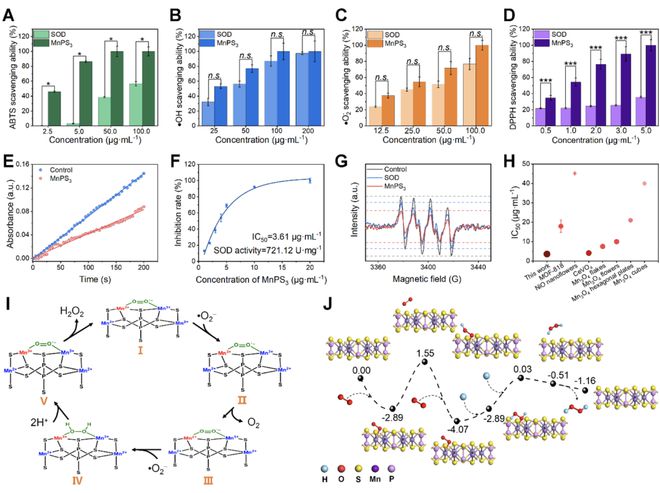 頭發(fā)再生研究新動(dòng)態(tài),頭發(fā)再生研究新動(dòng)態(tài)，小巷深處的秘密秀發(fā)實(shí)驗(yàn)室