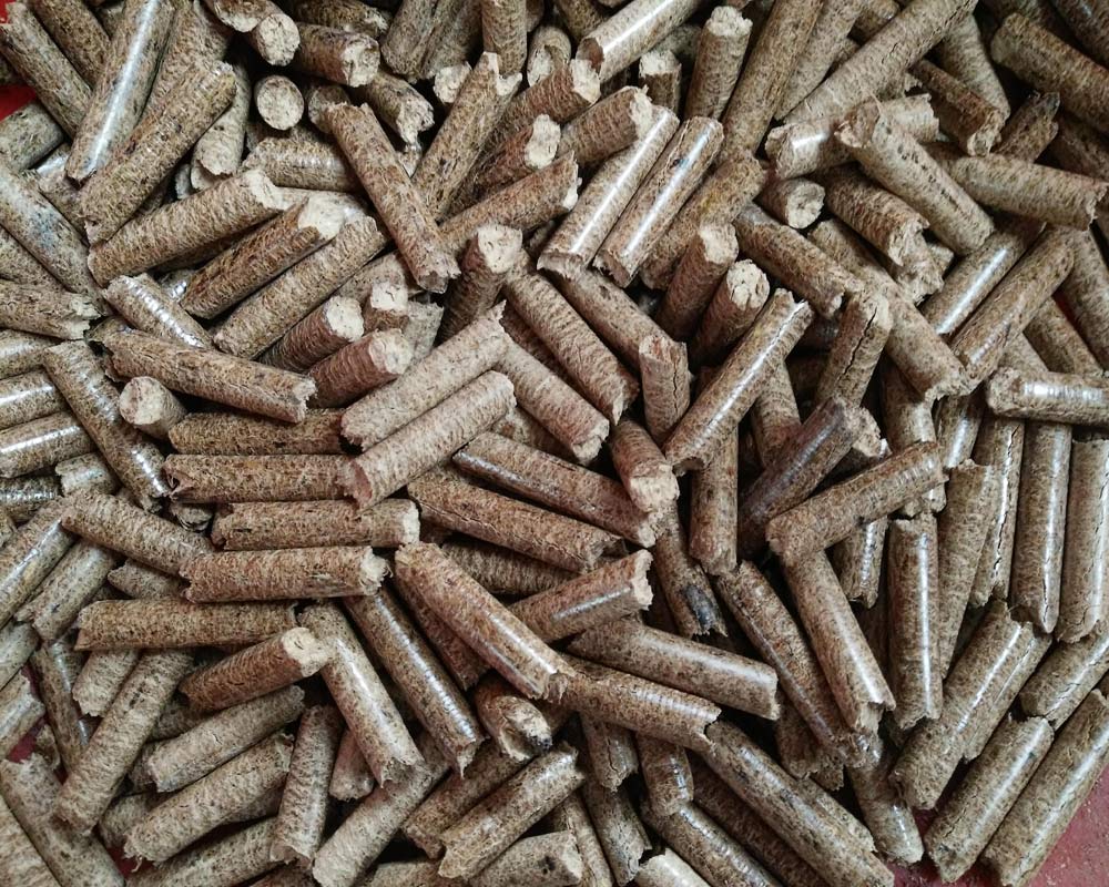 生物顆粒市場趨勢、影響因素及前景展望分析，行情概覽與未來展望