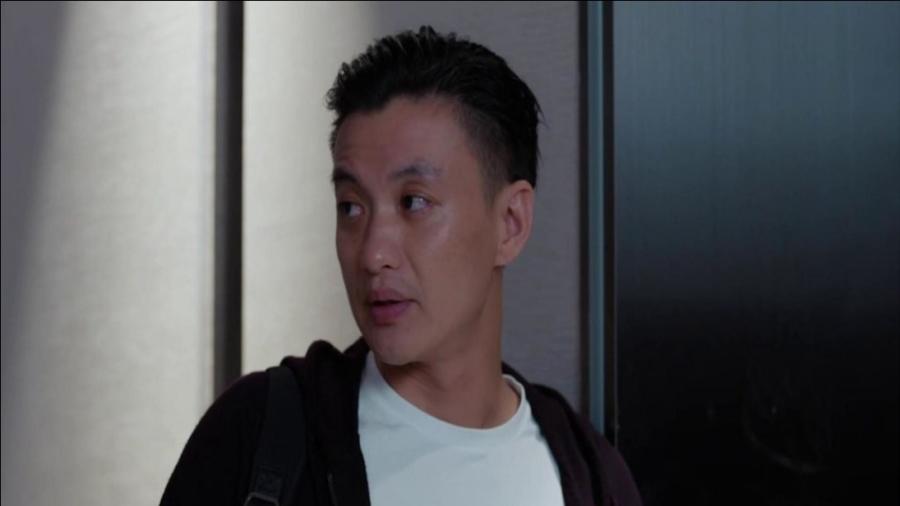 郭鑫年最新動(dòng)態(tài)揭秘，小巷特色小店探索之旅