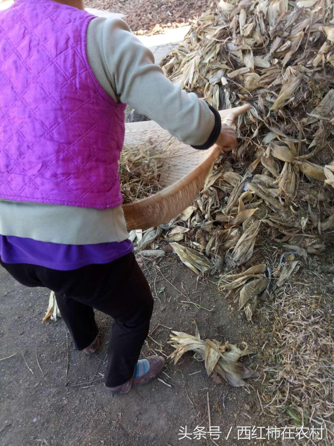 彬縣撤縣設(shè)區(qū)最新進展，最新動態(tài)更新