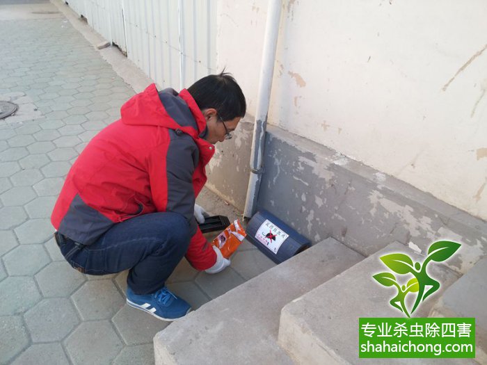 最新滅鼠技術(shù)的觀點(diǎn)論述與立場(chǎng)闡述，創(chuàng)新方法的探索與挑戰(zhàn)