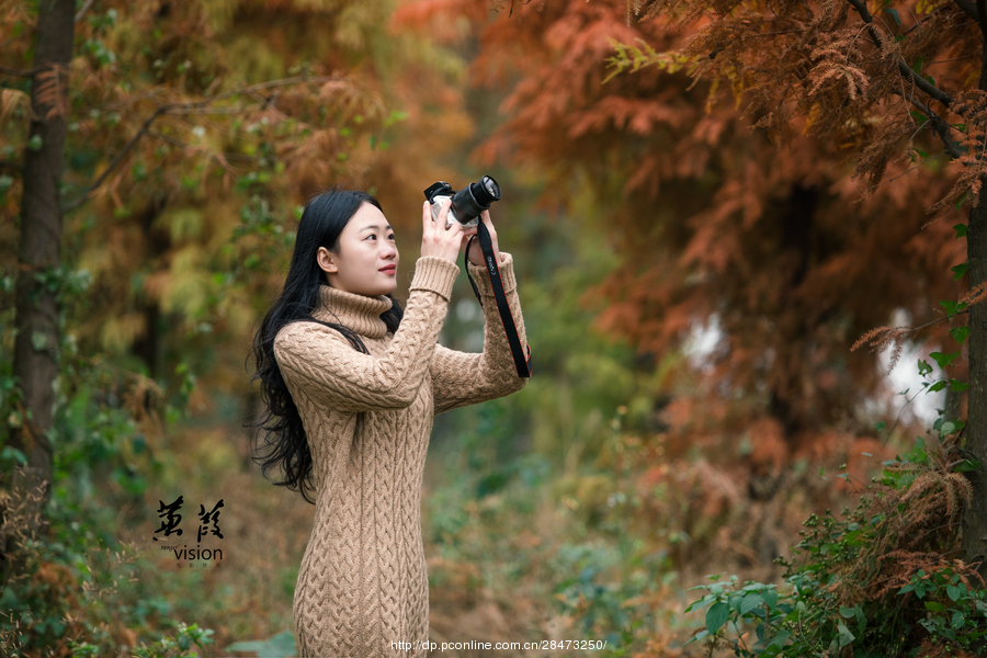 伊人在線電影，探索現(xiàn)代網(wǎng)絡影視的新境界