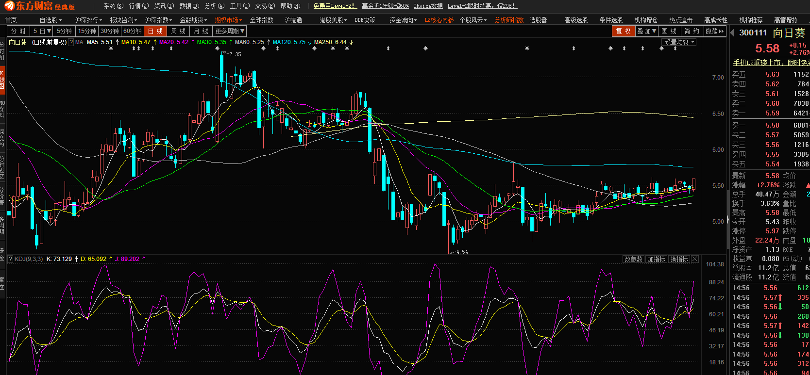 股市小天地，友情大天地——我與股票300141的日常故事分享