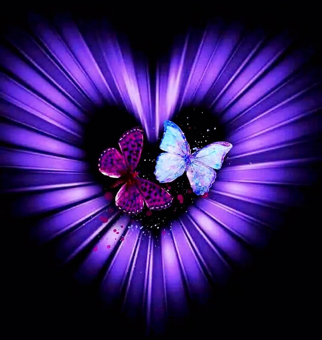 最新情感交流圈，學(xué)習(xí)、成長與自信的力量之源