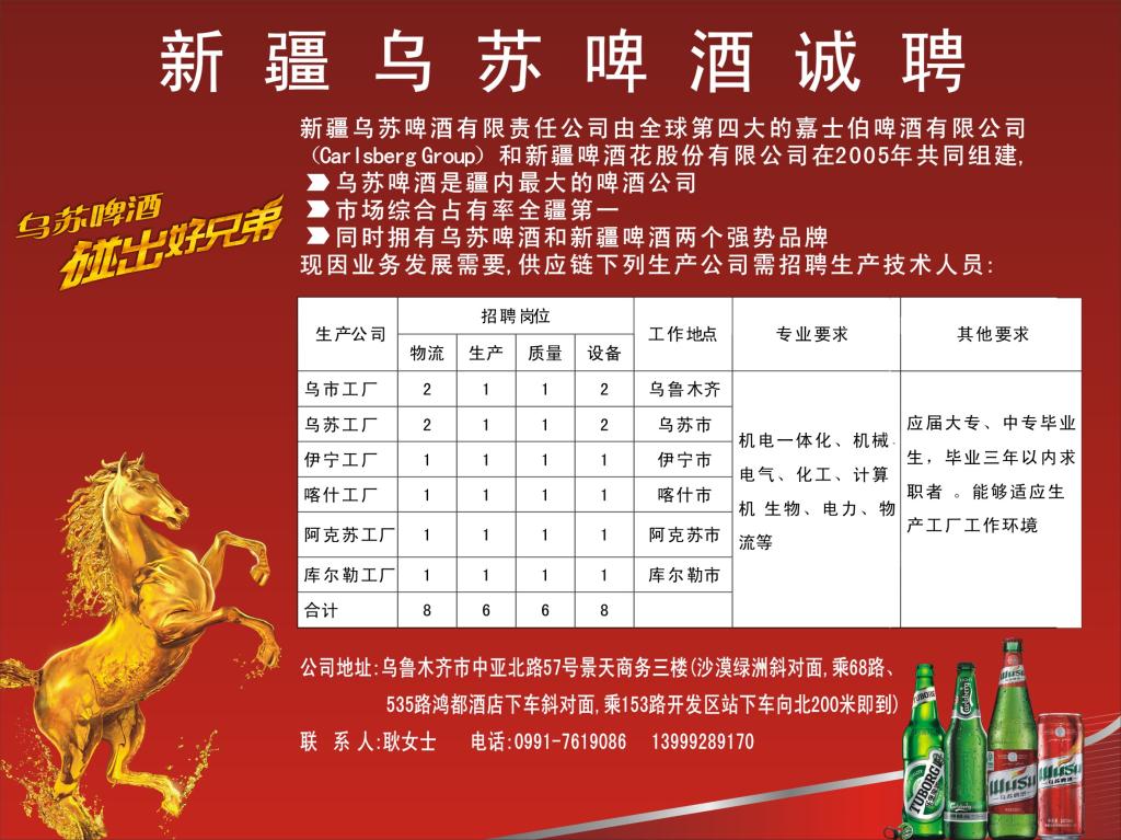 烏蘇政府最新招聘公告，應聘指南全解析