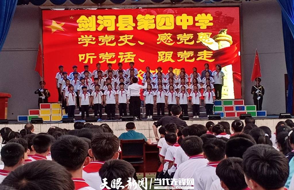 青蛙與狗的泳池挑戰(zhàn)，揭秘游泳比賽背后的故事，青蛙夢工廠的秘密探索