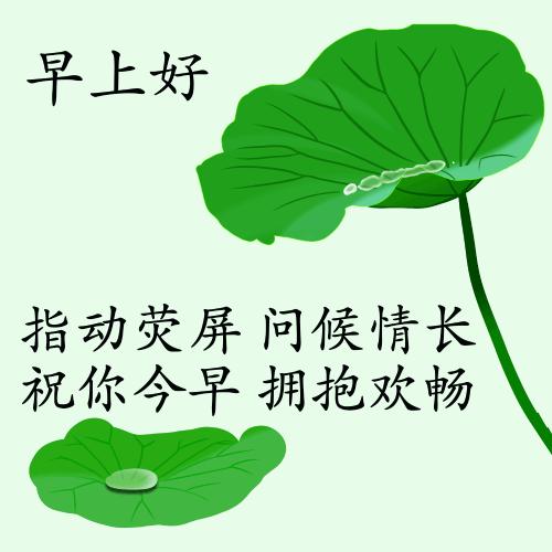 最新疫情動(dòng)態(tài)下的自然探索之旅，追尋內(nèi)心的平和與寧靜