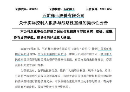 南方稀土股票，小巷中的隱秘寶藏，探索投資魅力的未知之旅