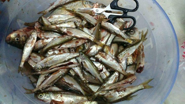 昆明最新野釣地點(diǎn)探索，重拾生活激情與自信的自然之旅