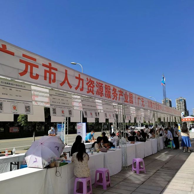 廣元最新招聘資訊詳解，觀點(diǎn)闡述與解析