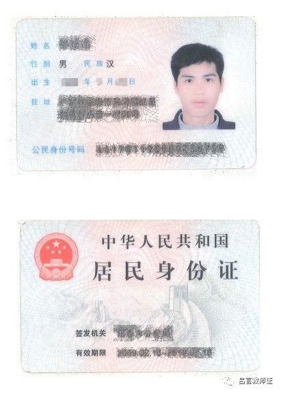 最新證照，友情與陪伴的溫馨故事之旅