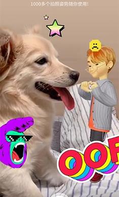 崽崽最新版下載，一段充滿愛與陪伴的溫馨旅程