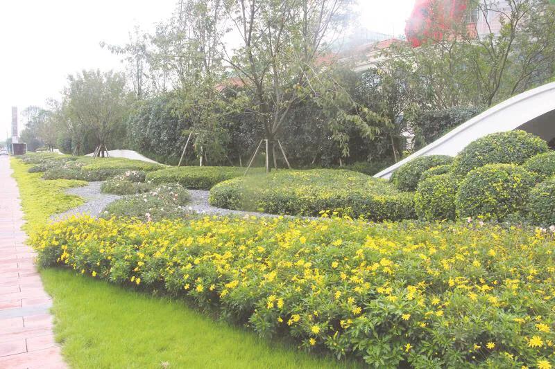 嬢王演員的自然之旅，邂逅美景，尋找內(nèi)心平和之道