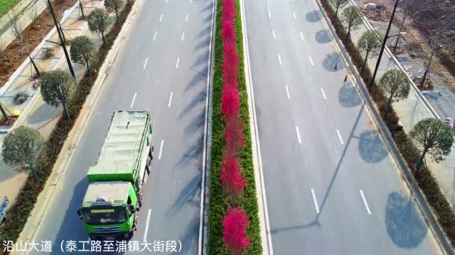 關(guān)花大道最新進展，矚目盛景呈現(xiàn)！