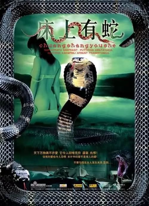 最新蛇片，蛻變的旅程，召喚自信與成就感的冒險(xiǎn)之旅