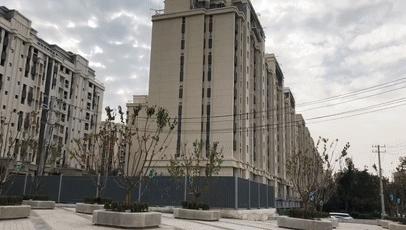 趙村最新動態(tài)，鄉(xiāng)村振興新篇章開啟