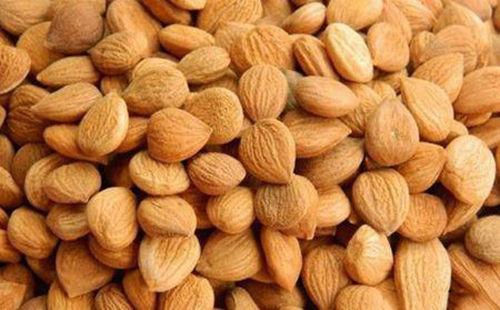 苦杏仁行情深度解析，背景、事件與地位探究