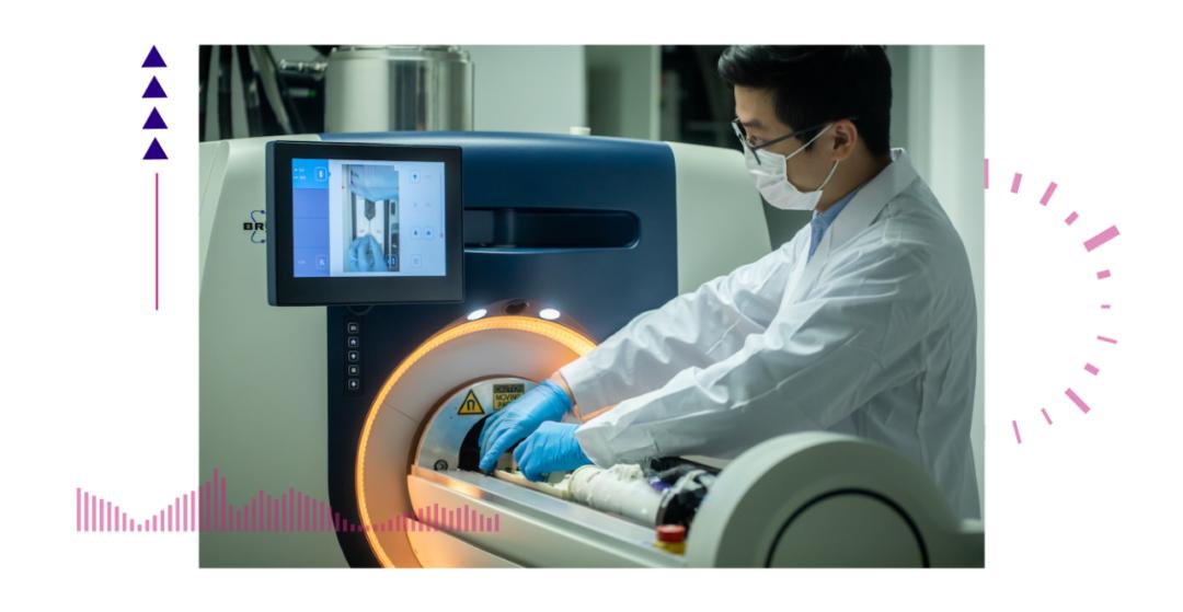 香港脊髓研究取得新進展，探索自然美景的心靈之旅新篇章