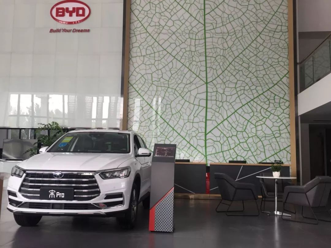 重磅更新，比亞迪最新招聘信息揭秘???