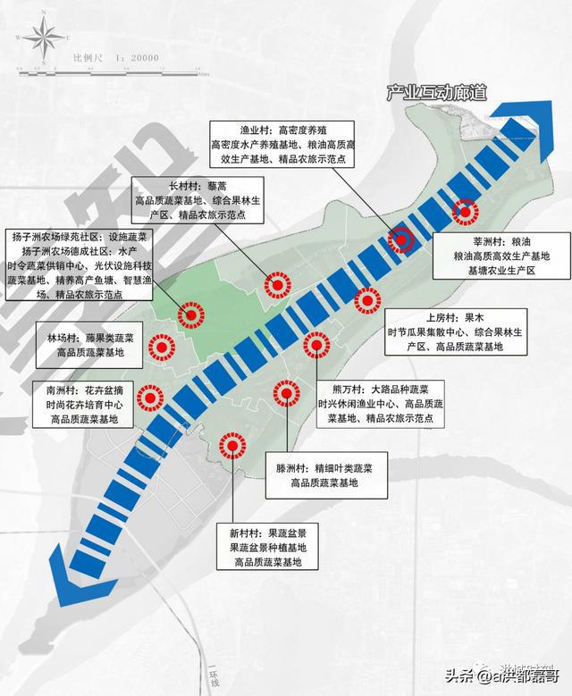 南昌揚(yáng)子洲未來(lái)藍(lán)圖揭曉，最新規(guī)劃描繪未來(lái)發(fā)展路徑