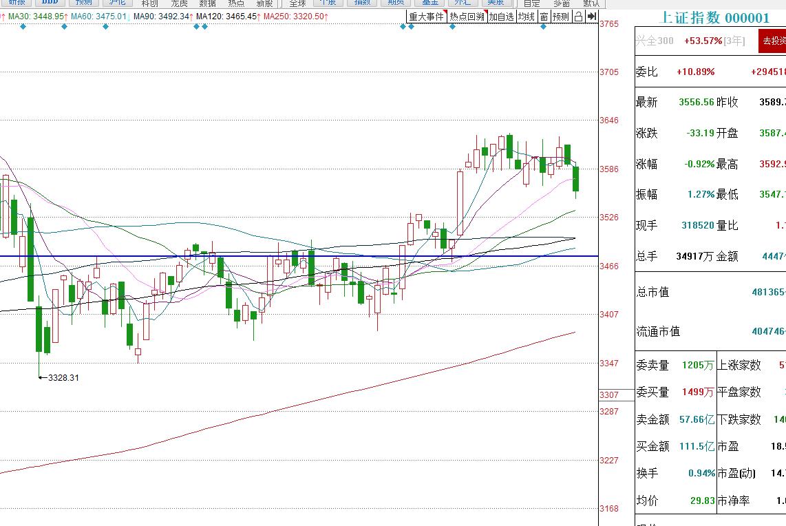 揭秘6月5日股市行情下的投資風(fēng)景，巷弄深處特色小店的獨(dú)特魅力
