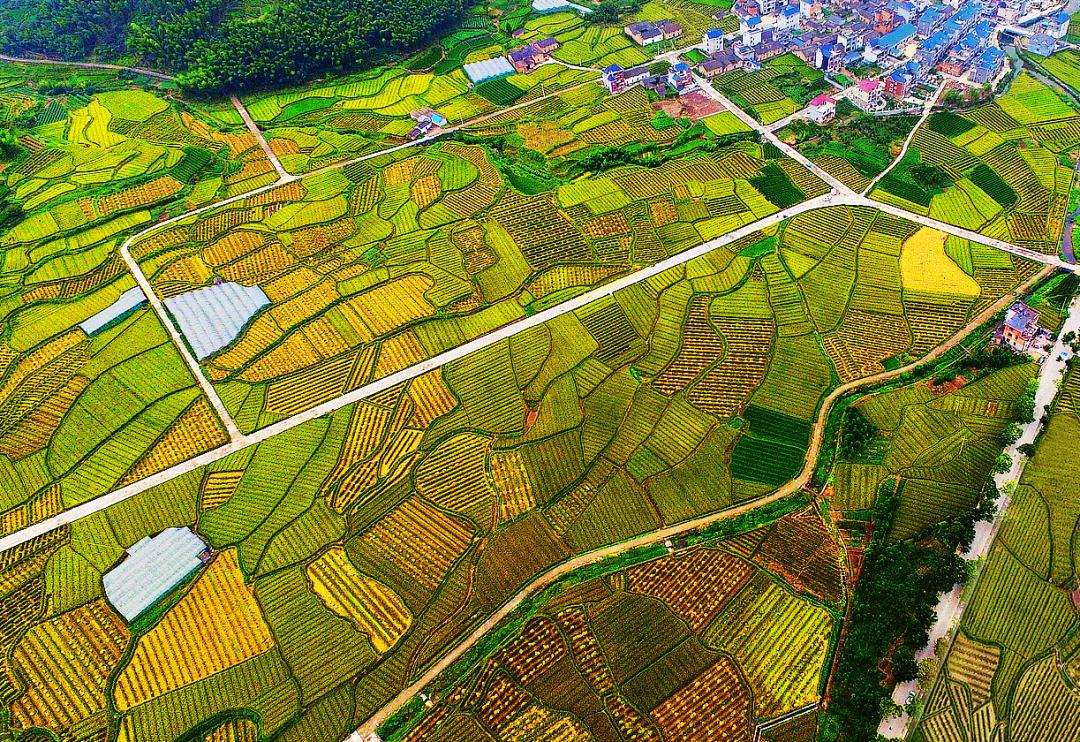 金竹最新規(guī)劃發(fā)布，開啟學習新篇章，培養(yǎng)自信與成就感的源泉