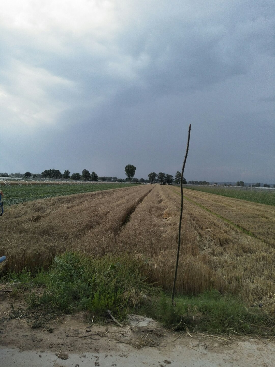 蒲城天氣預(yù)報(bào)，暖陽下的友情時(shí)光