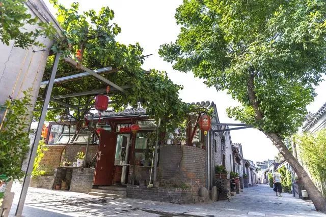 草社區(qū)美食探險之旅，探尋小巷中的隱藏寶藏與最新地址揭秘