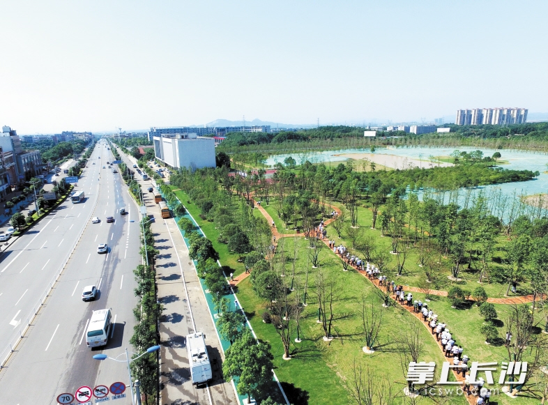 長沙黃橋大道崛起，夢想啟航之路最新動態(tài)