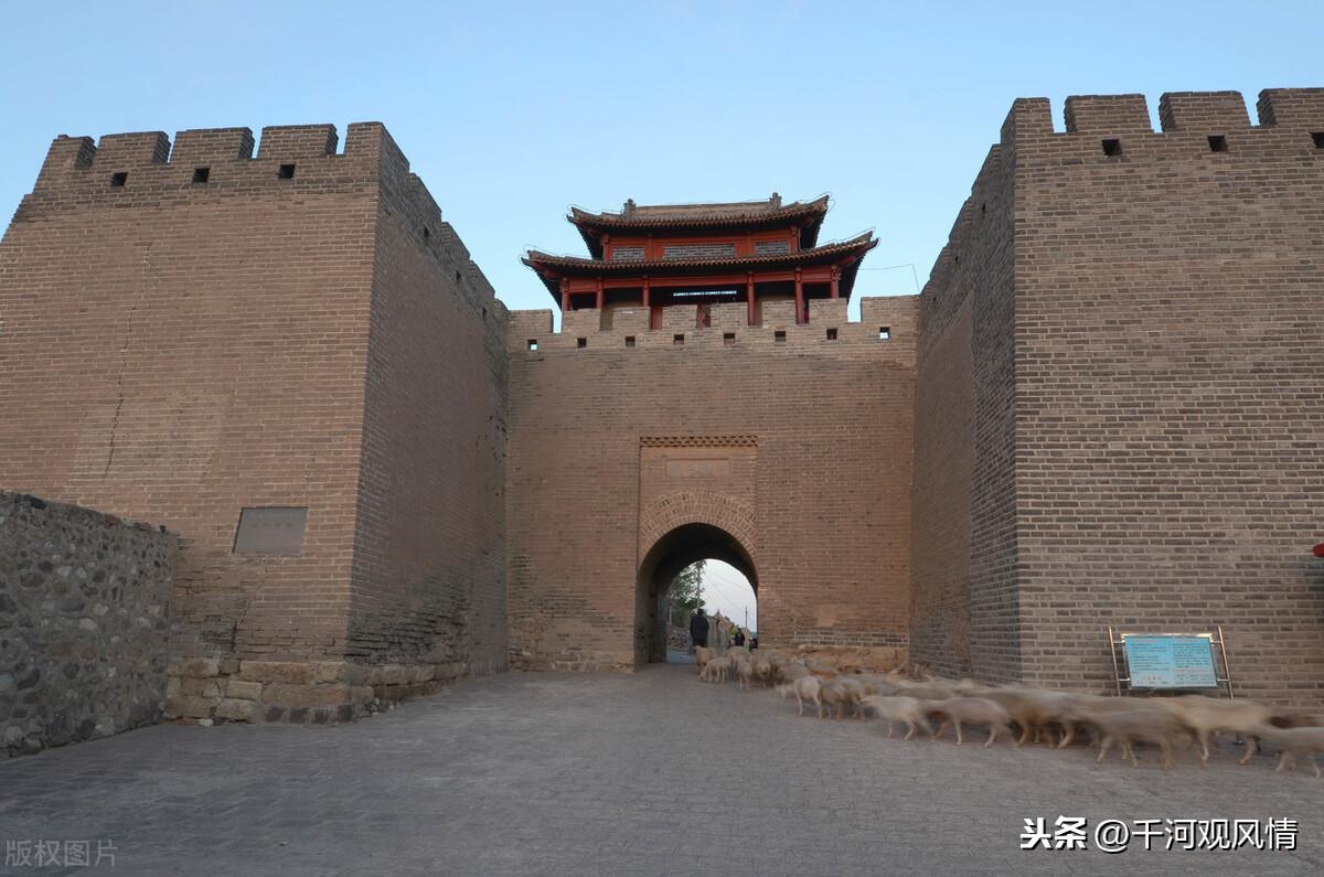 一夜談加急版最新熱點話題深度探討夜談紀實