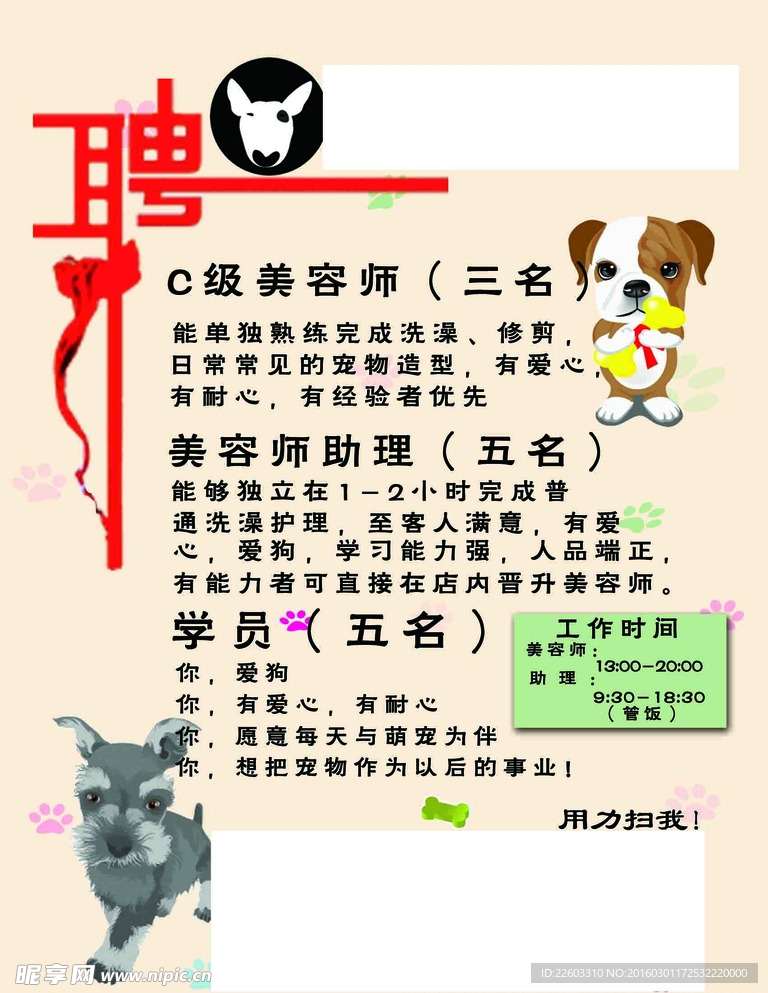 寵物店招聘最新動(dòng)態(tài)，共探自然之美，尋求內(nèi)心寧?kù)o