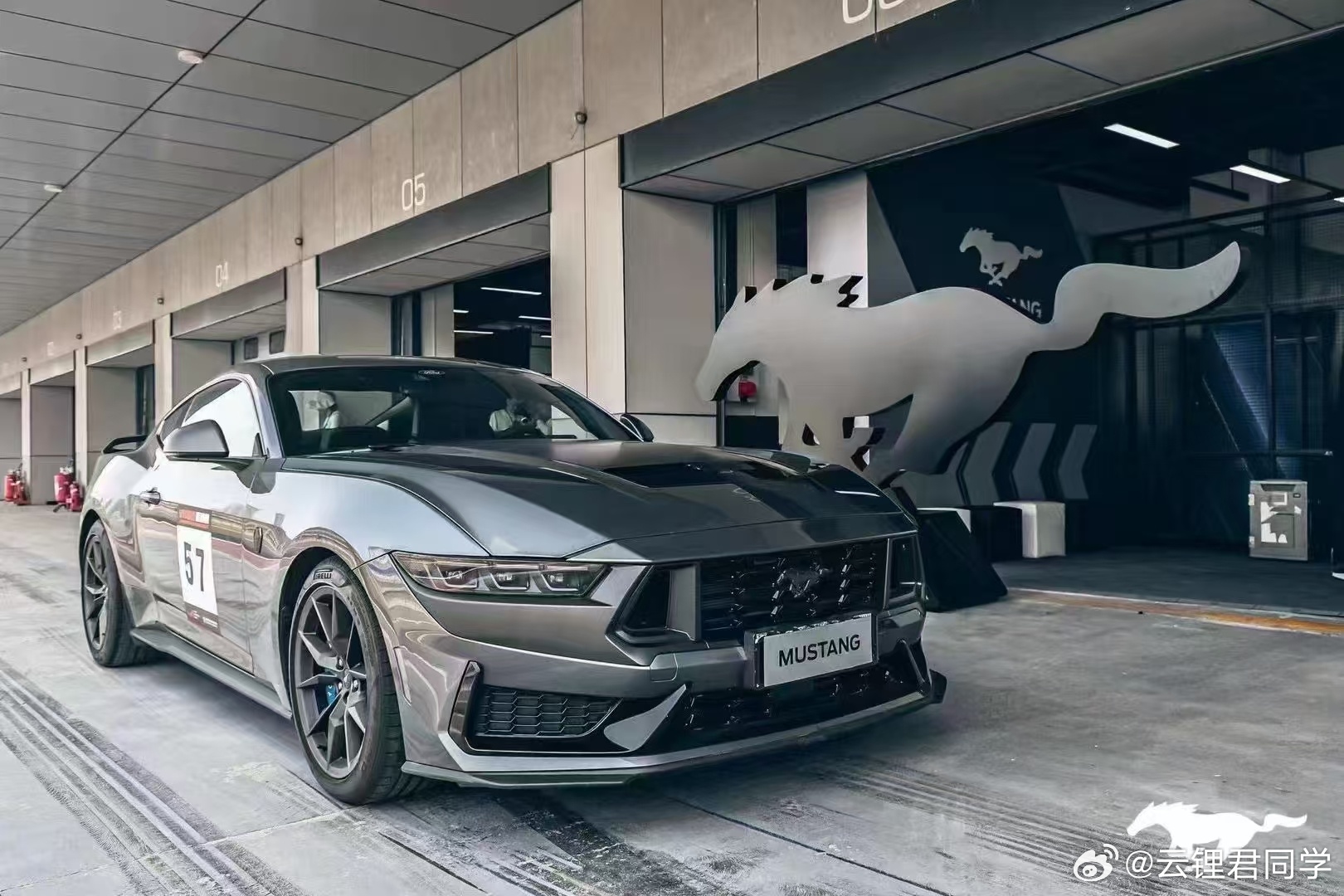 野馬擼最新動(dòng)態(tài)，駕馭變化，自信成就夢(mèng)想之旅