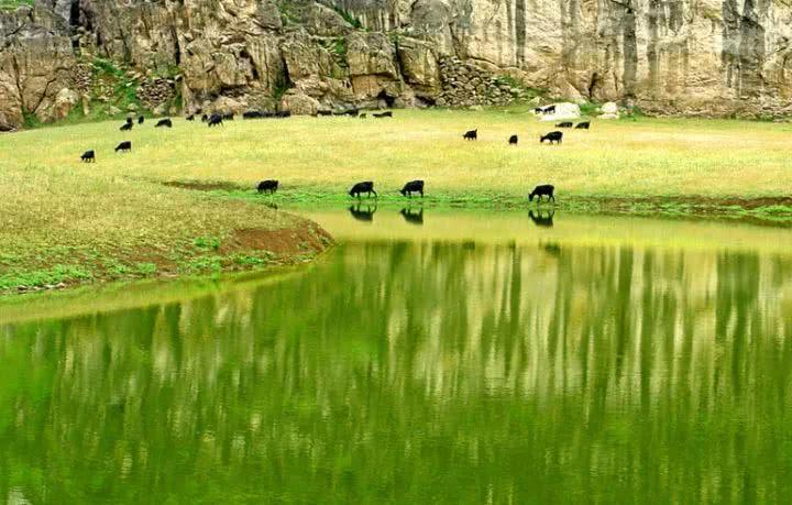 青草最新在線視頻，自然與科技融合之美展現(xiàn)的力量