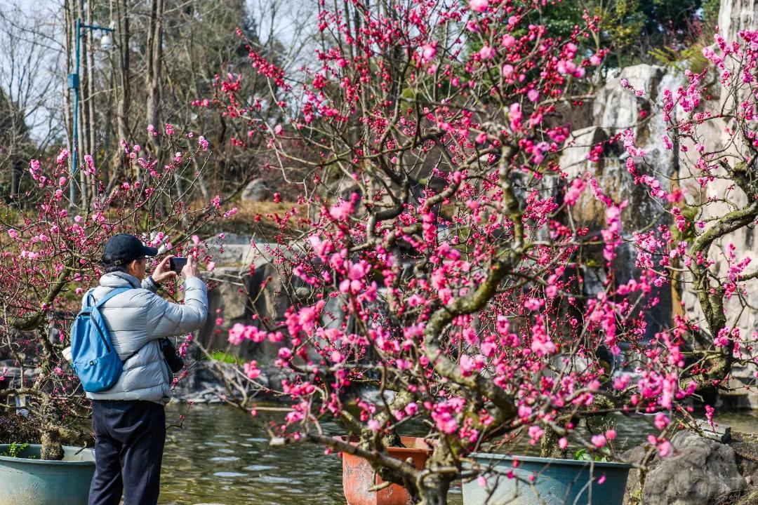 秀麗東方最新動態(tài)，啟程探索自然之美，尋找內(nèi)心寧靜之旅