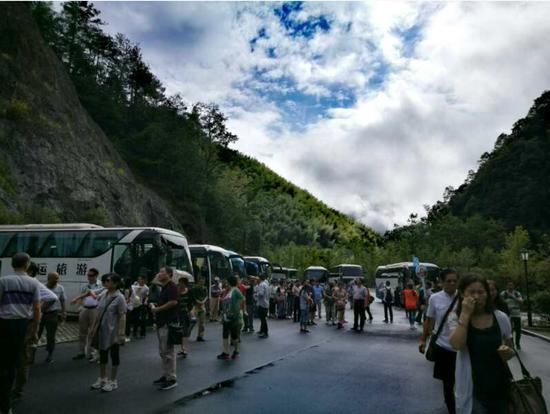 泰順高鐵最新動(dòng)態(tài)更新，最新消息一覽