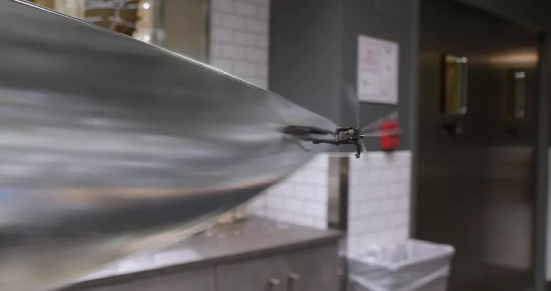 最新電泳技術(shù)，一路向前，學(xué)習(xí)成就自信之源