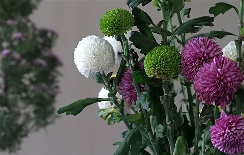 最新娛樂頭條，躍上成功舞臺的魔力之旅，自信與成就感的碰撞