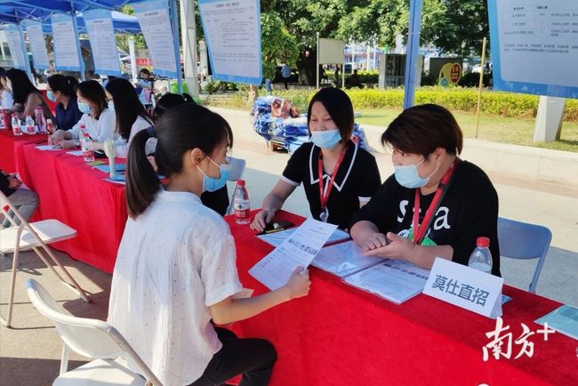 石碣最新招聘動(dòng)態(tài)，把握職業(yè)機(jī)遇，共創(chuàng)美好未來之路