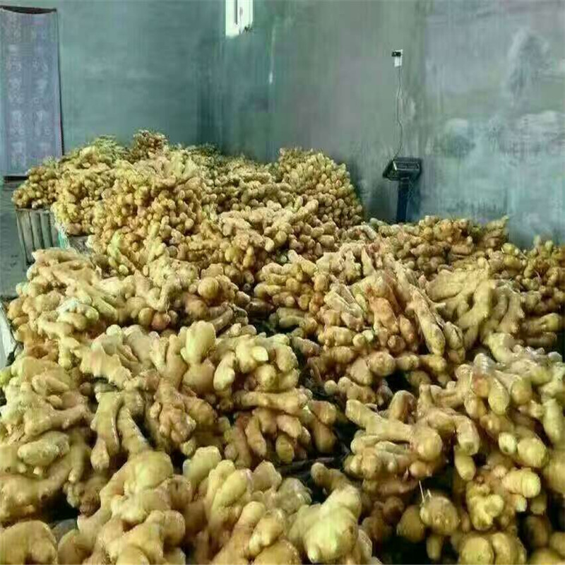 工礦燈具 第123頁(yè)