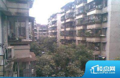 榴社區(qū)2024最新地址揭秘，科技前沿重塑生活體驗新篇章