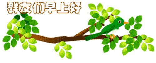 最新清晨祝福短信，晨曦中的溫暖問候，傳遞美好祝愿與關(guān)懷