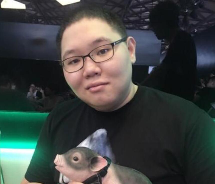 PDD最新直播視頻，直播界的璀璨明星閃耀時(shí)刻