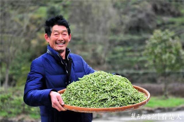 最新夷陵新聞，探索自然美景的旅程，尋覓內(nèi)心平和之地